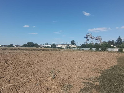 Teren Intravilan 9.086 mp cu CF | Popești-Leordeni | L1 P+2