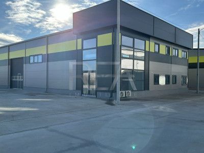 Inchiriere Hala 600 mp  Centura / Iesire A1