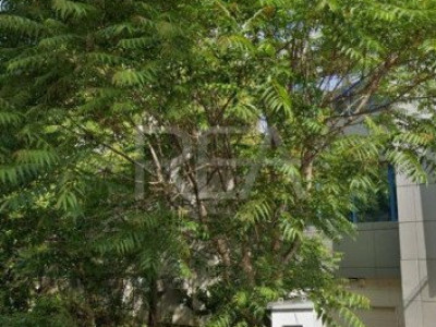 Teren intravilan de vânzare – Grozăvești | 211 mp 