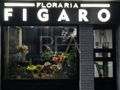 Spatiu Comercial Stradal Pache Protopescu