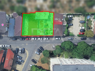 DOAR 350000 euro!!! Lifetime Opportunity-TEIUL DOAMNEI