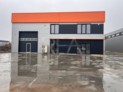 Vanzare Hala noua Chiajna 