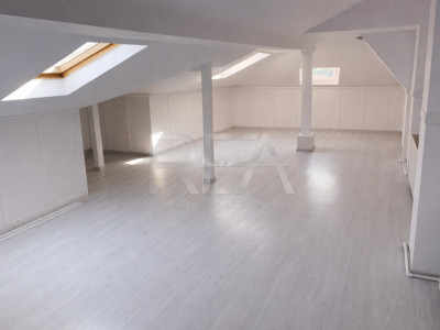 Vilă 9 camere Eminescu, 2 centrale, 355 mp