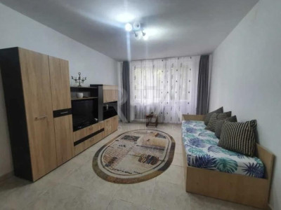 2 camere, et 1/4, 49mp-Drumul Taberei