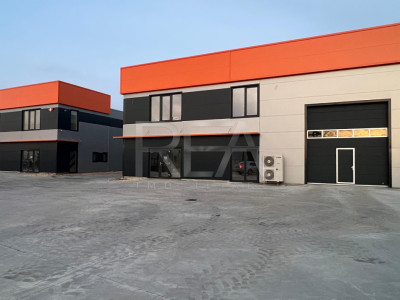 Hub Logistic Chiajna - Inchiriere Hala 553 mp